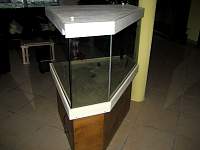 img_0662.jpg