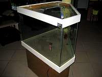 img_0665.jpg