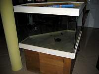 img_0667.jpg