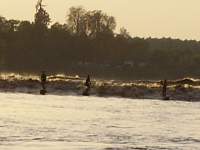 mascaret060909_13.jpg